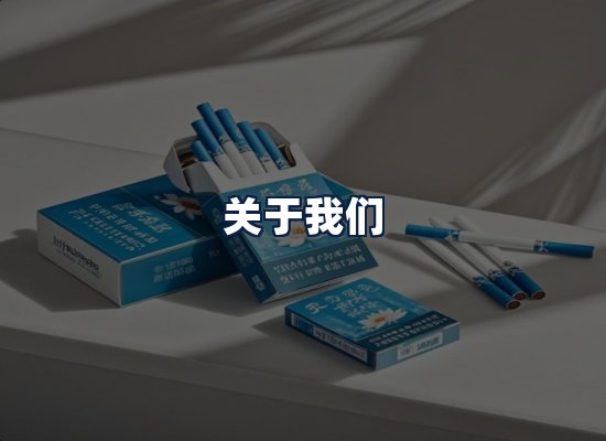 关于我们